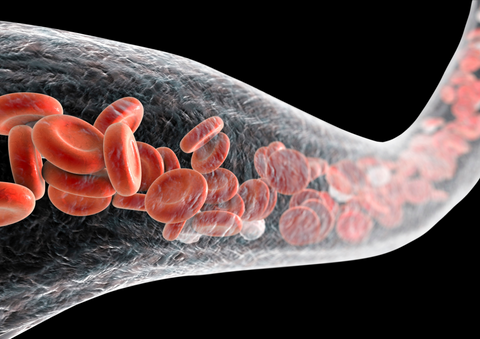How to Increase Blood Flow: What Causes Poor Blood Flow?